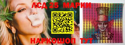 шишки Сланцы