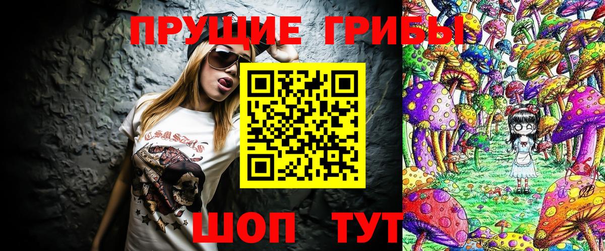 Псилоцибиновые грибы Psilocybe Моздок