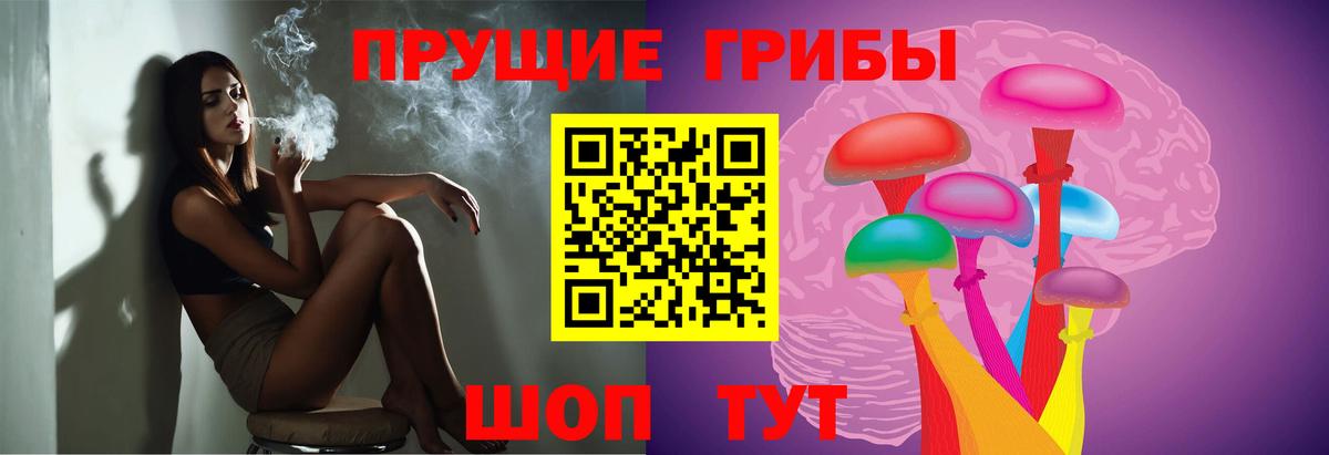 Моздок  Псилоцибиновые грибы Cubensis  Псилоцибиновые грибы Magic Shrooms  Вход с VPN 